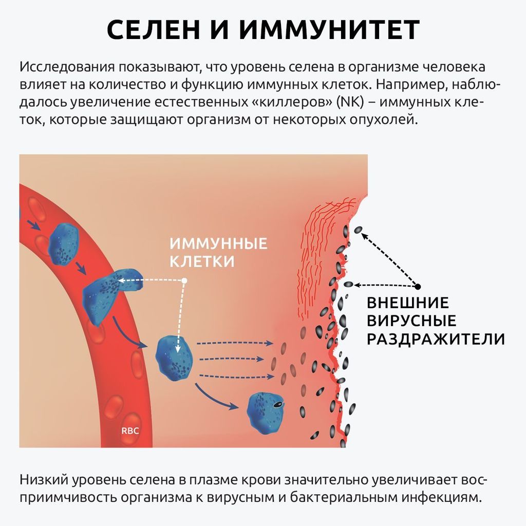 UltraBalance Витамины Селен премиум с пиперином, комплекс для женщин и мужчин, капсулы, 90 шт.